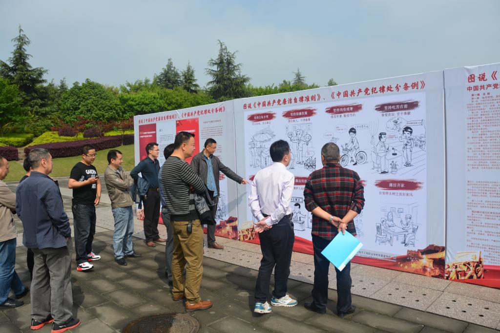 支部书记谯新风进行讲解